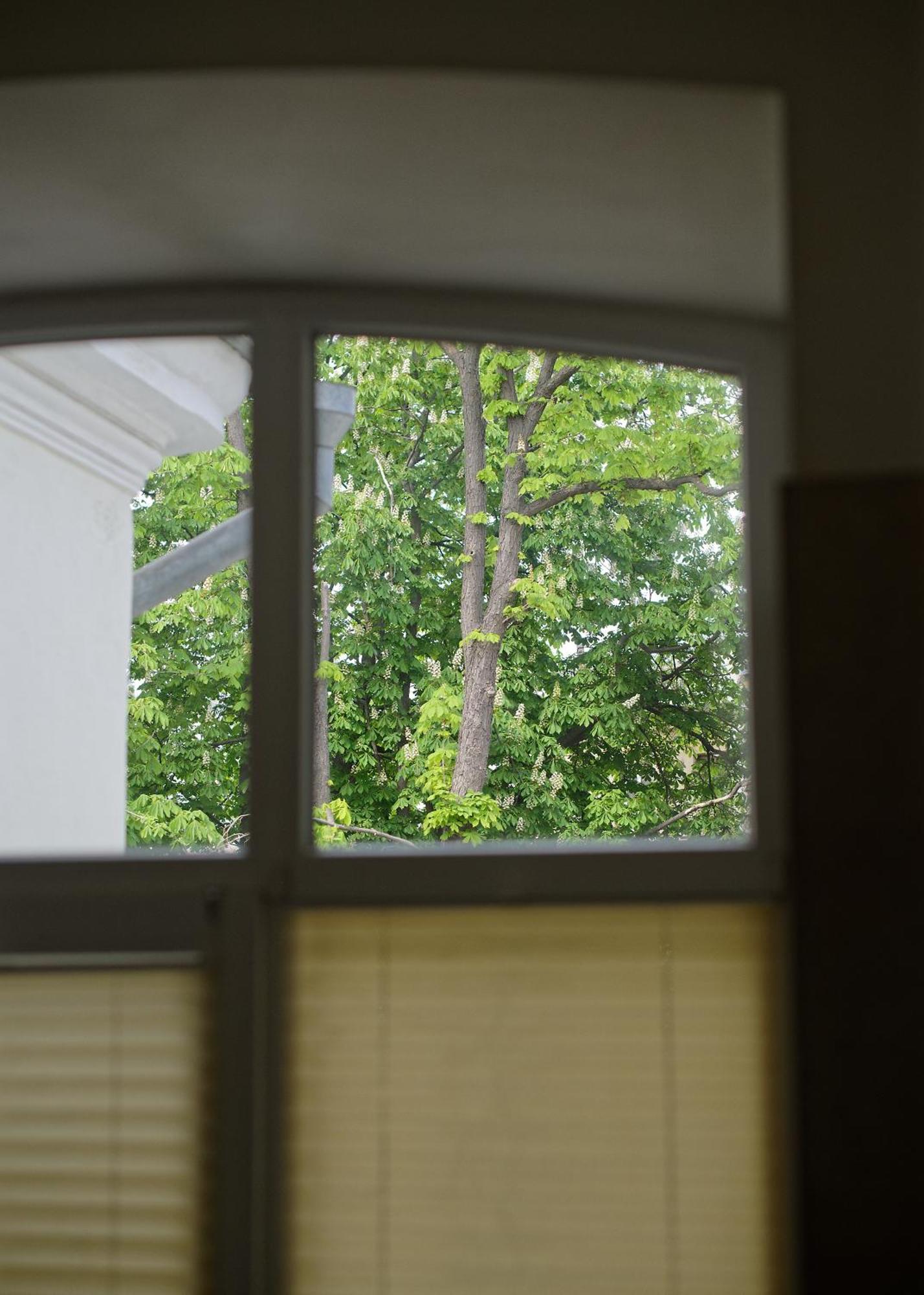 White Door Apartments Heart Of Odessa 1 Bagian luar foto